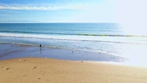 Oceanfront beach video first frame