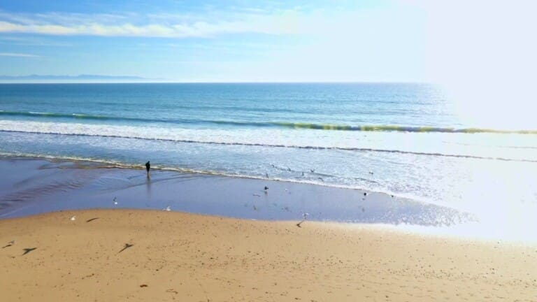 Oceanfront beach video first frame